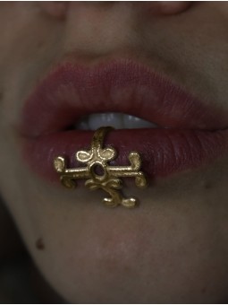 Asha - la Métamorphose...