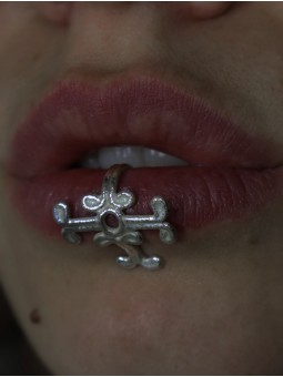 Asha - la Métamorphose