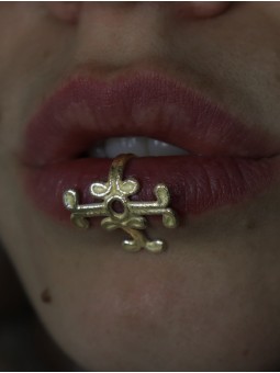 Asha - la Métamorphose...